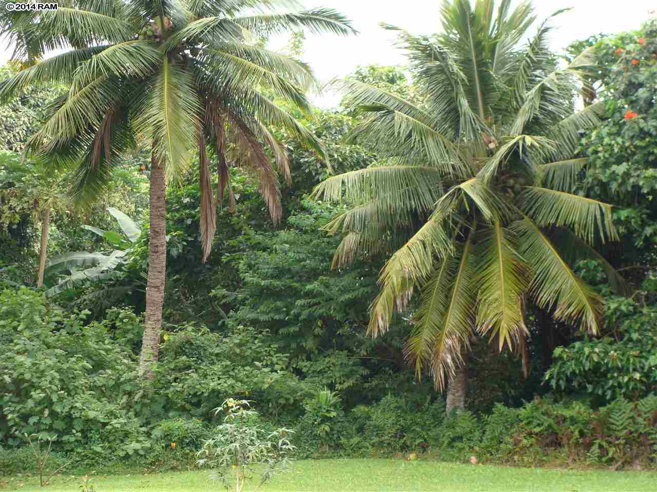 60 Kalo Road, Unit 19 Hana, HI 96713 - Photo 9 of 30 a view of a yard