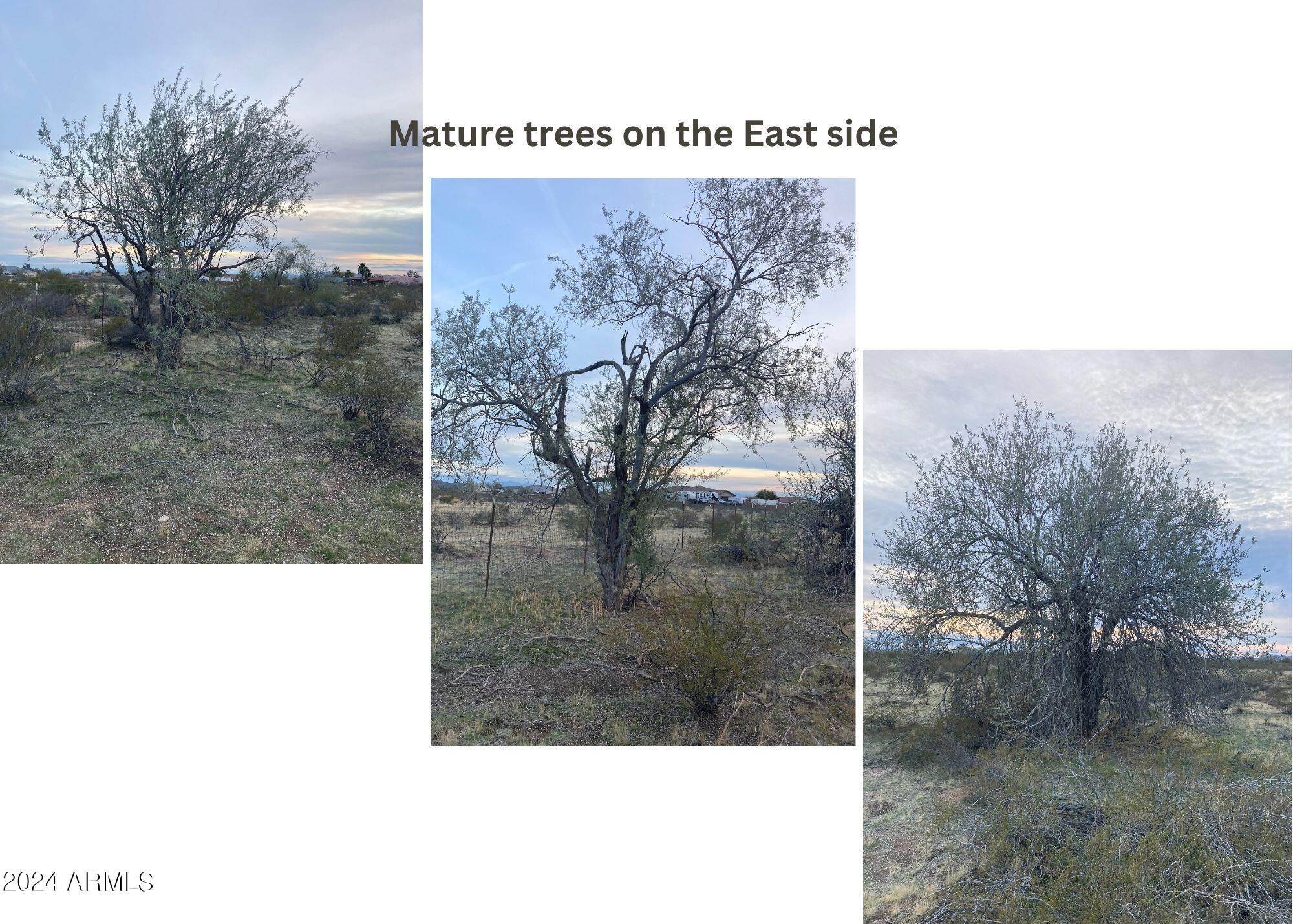 0 West Rhodes Way, Unit 28 Casa Grande, AZ 85194 - Photo 5 of 12 a picture of a park