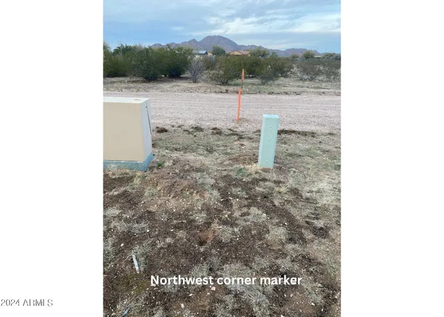 a flag is sitting in the middle of a forest