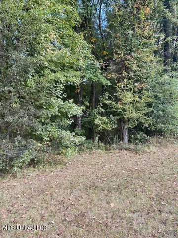 $2,280,000 | 0 West Ms-463 Highway, Madison, MS 39110