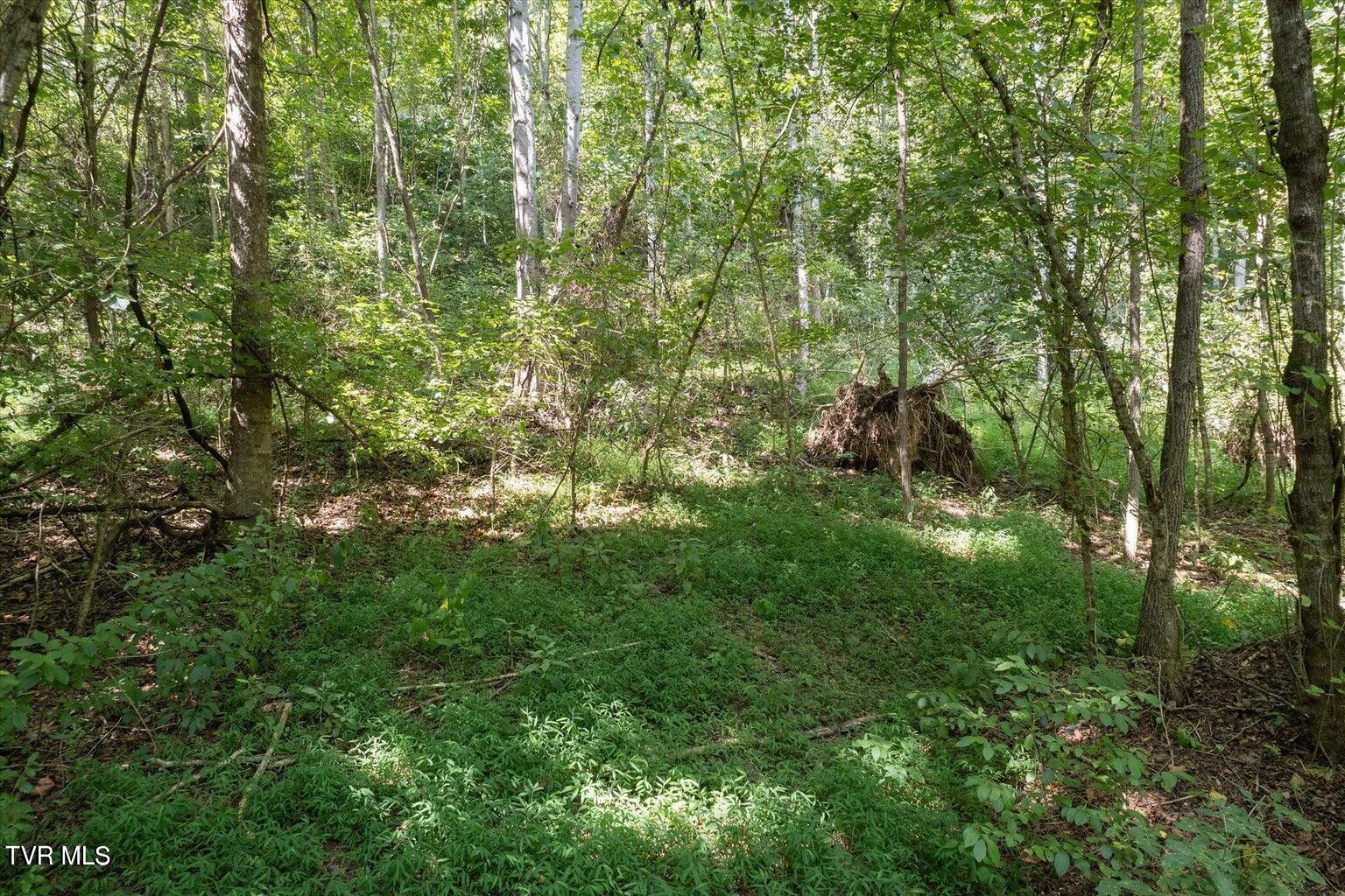 Tbd North Fork River Road, Unit 3 Abingdon, VA 24210 - Photo 21 of 34 *