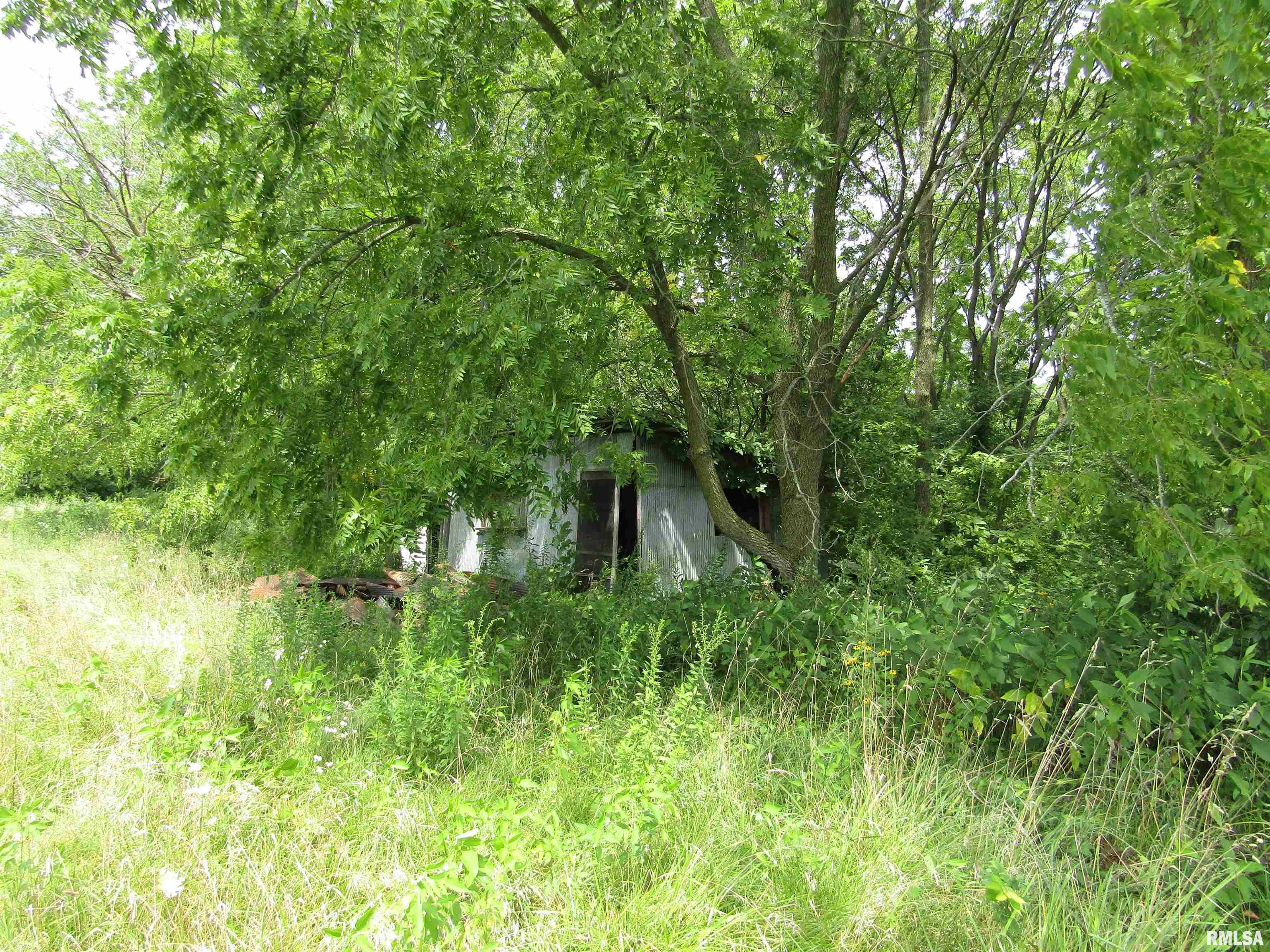 0 County Highway Lewistown, IL 61542 - Photo 11 of 17