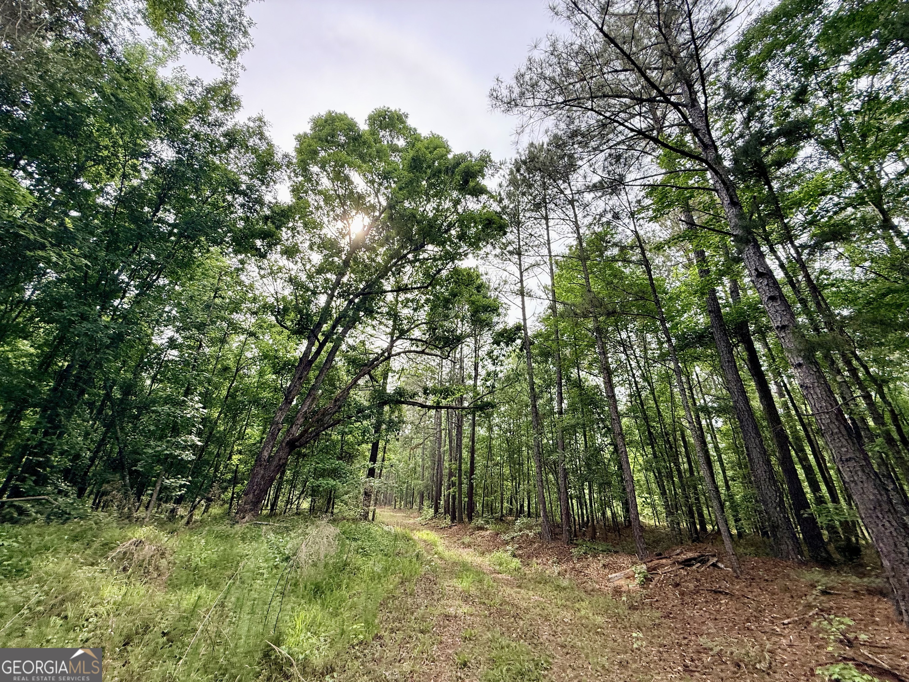 715 Fulsome Creek Road Sparta, GA 31087 - Photo 95 of 117