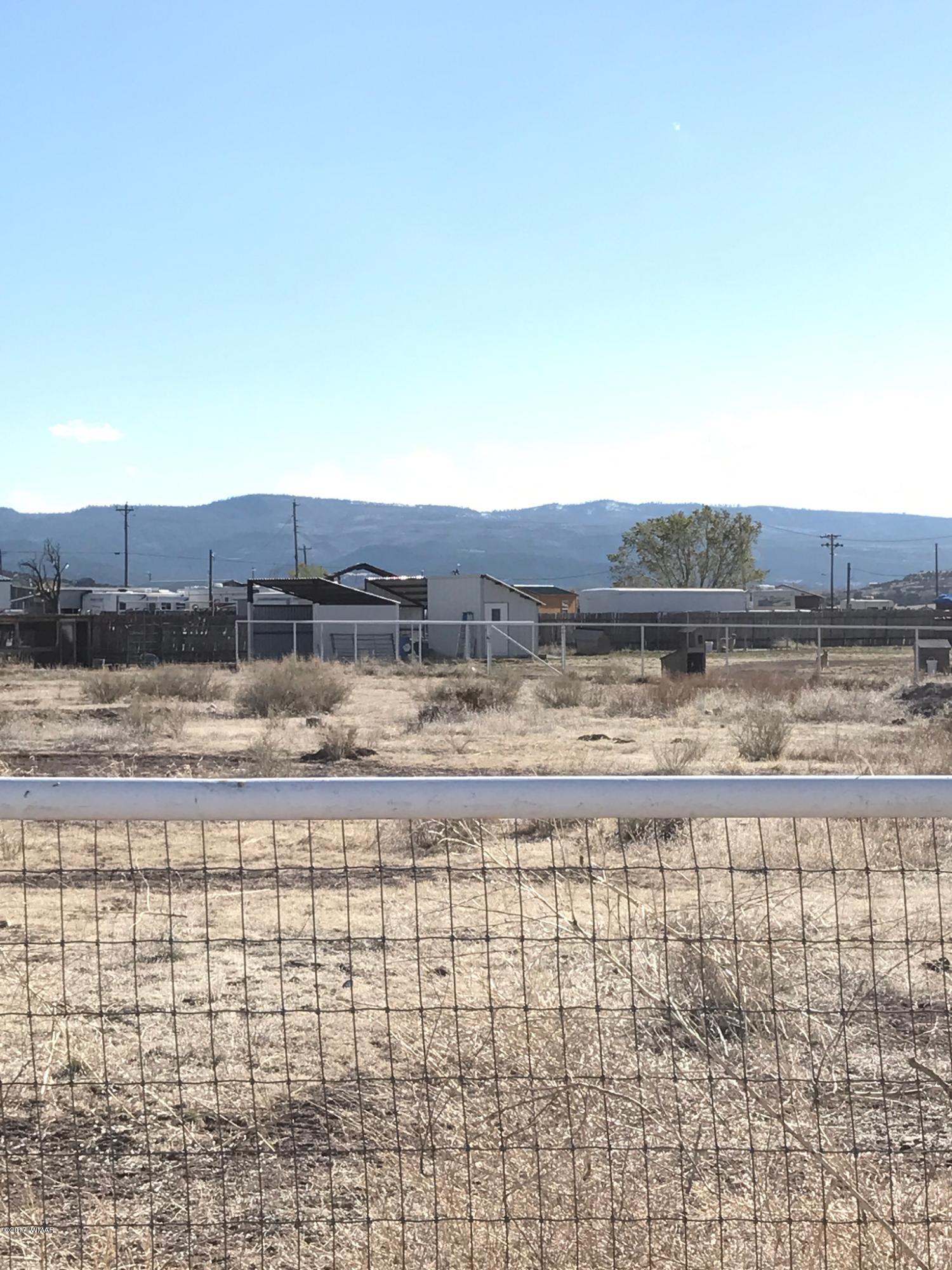 11 Cr N4071 Springerville Az 85938 Springerville, AZ 85938 - Photo 4 of 33