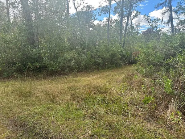 a view of a yard with a tree