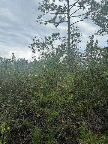 a view of a lake in between two of trees