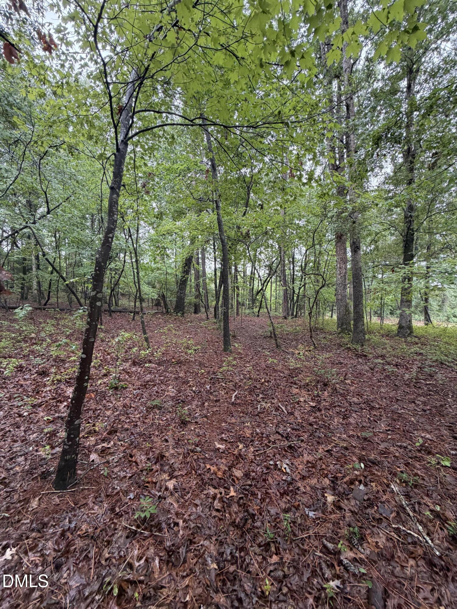 Lot 5 Claude Lewis Road Bailey, NC 27807 - Photo 3 of 16 3 (5)