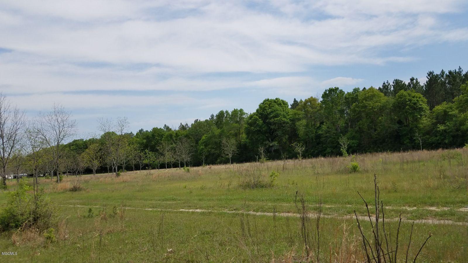 193 Buckley Road, Unit A Lucedale, MS 39452 - Photo 4 of 15 Resized_20200329_144020_3181 (1)