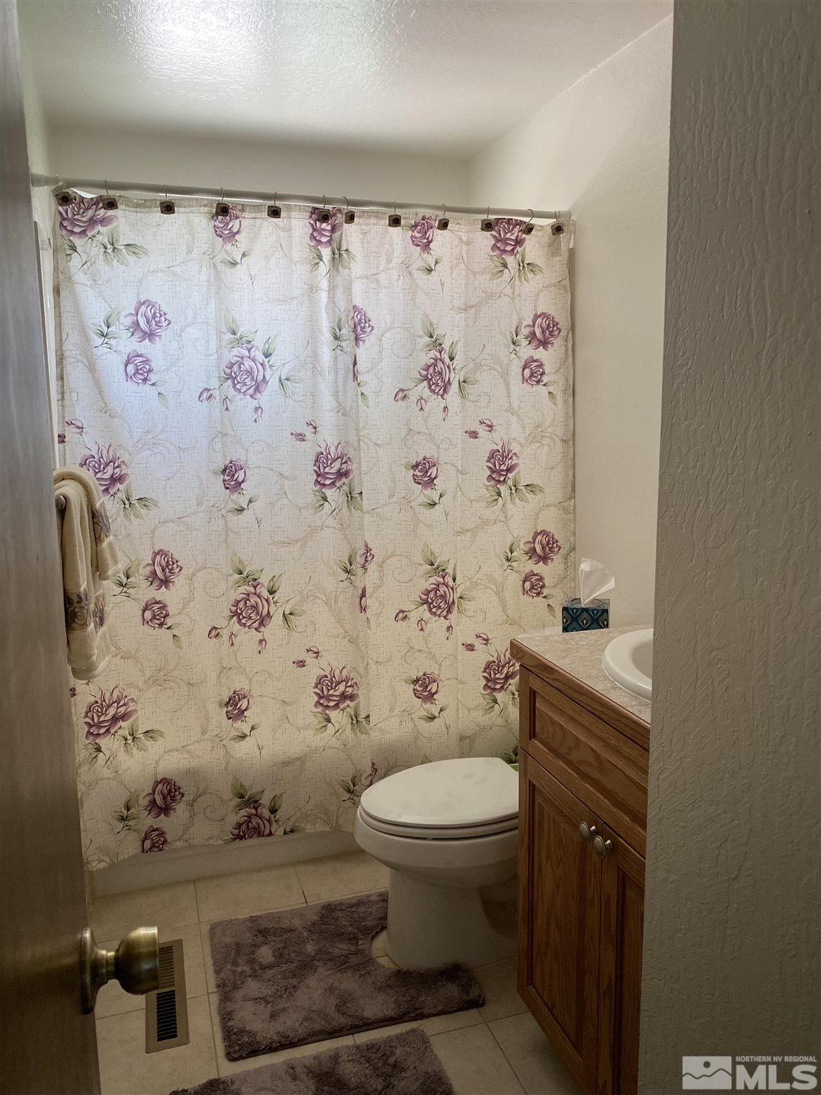 253 River Road Dayton, NV 89403 - Photo 11 of 18 Photo 11