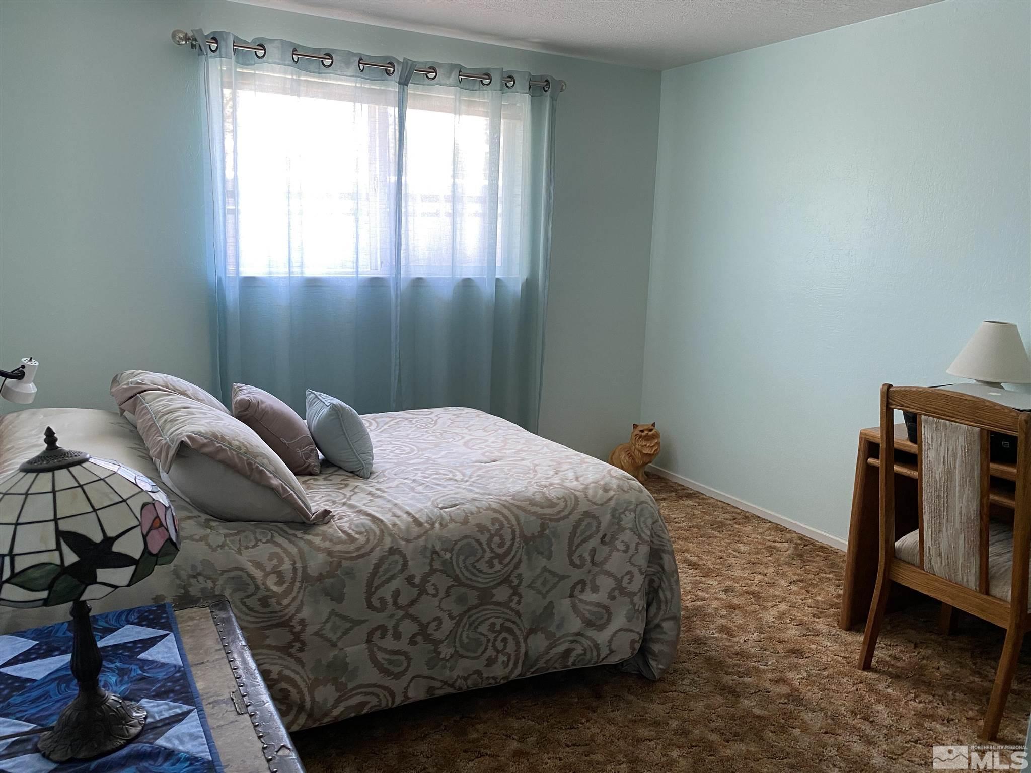253 River Road Dayton, NV 89403 - Photo 9 of 18 Photo 9