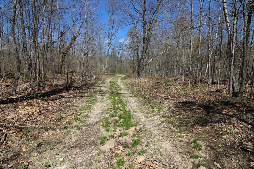 1 Deer Hill Road Fryeburg, ME 04037 - Photo 17 of 34 12' wide driveway in