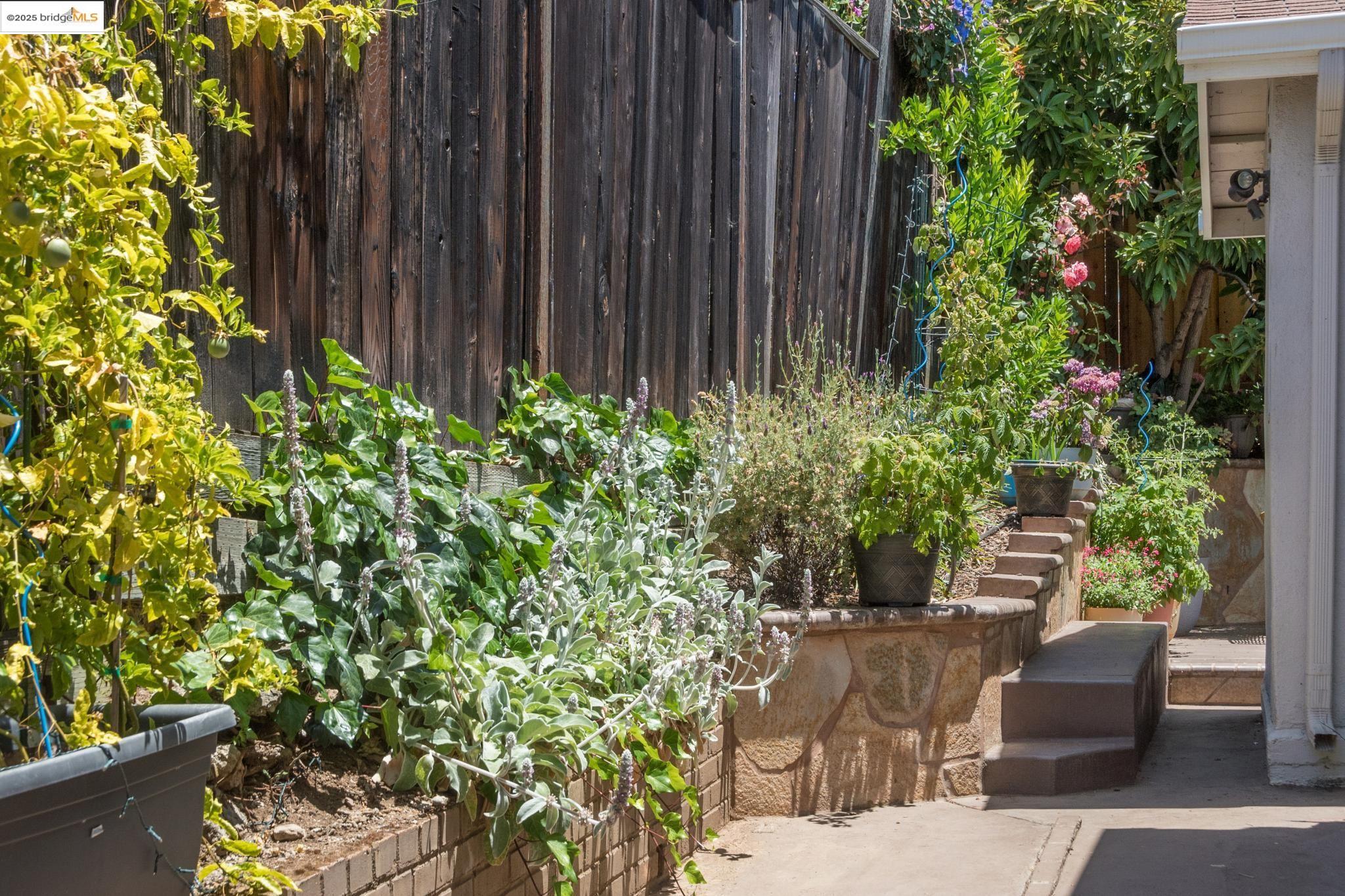Undisclosed Address Oakland, CA 94619 - Photo 46 of 60 a view of a backyard with potted plants and a fountain