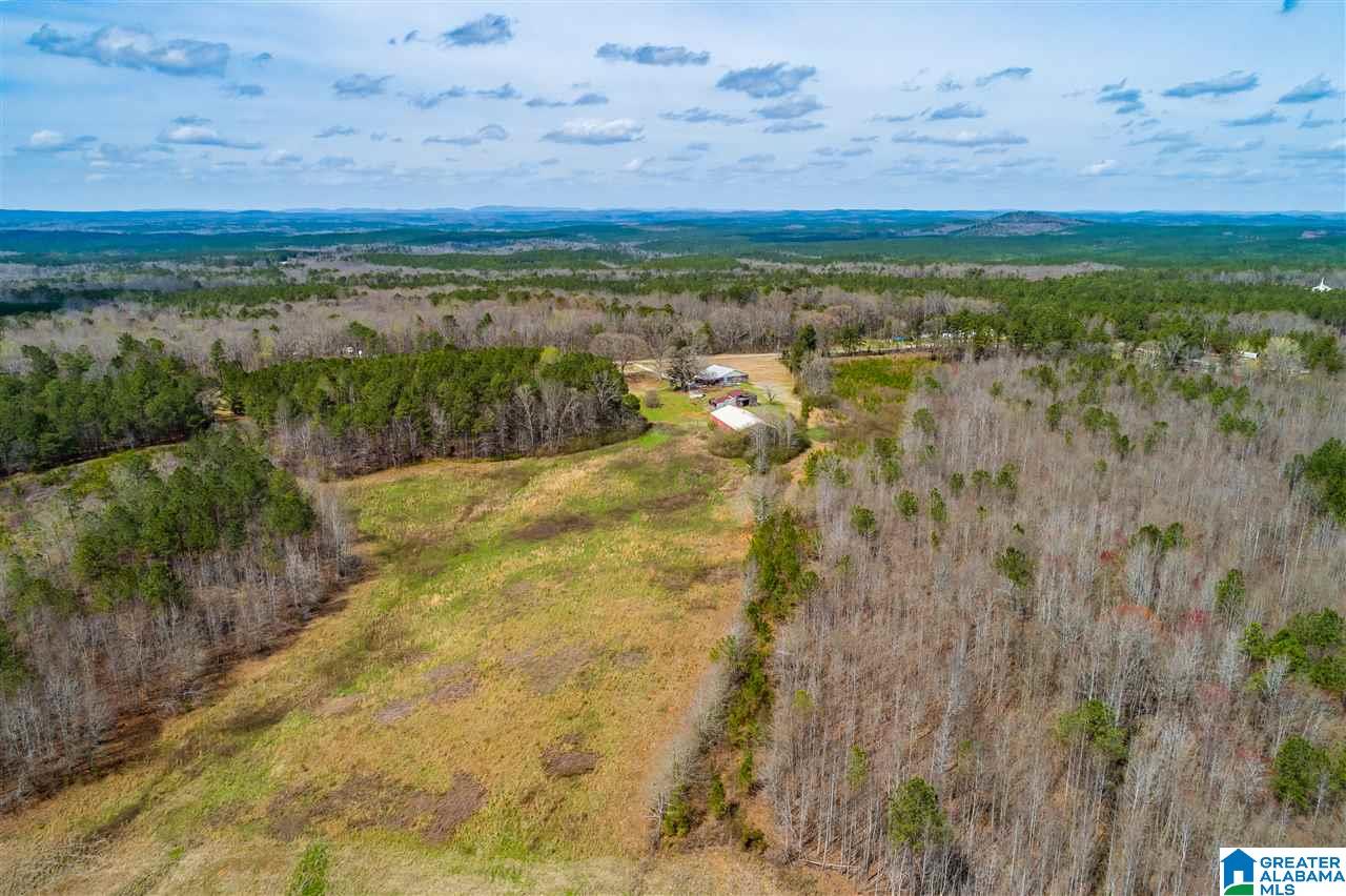 4199 Cowpens Road Alexander City, AL 35010 - Photo 30 of 50