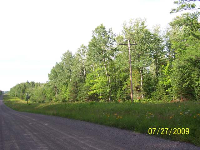 Xx Brandon Road Brookston, MN 55711 - Photo 3 of 3 Gallery Image 3