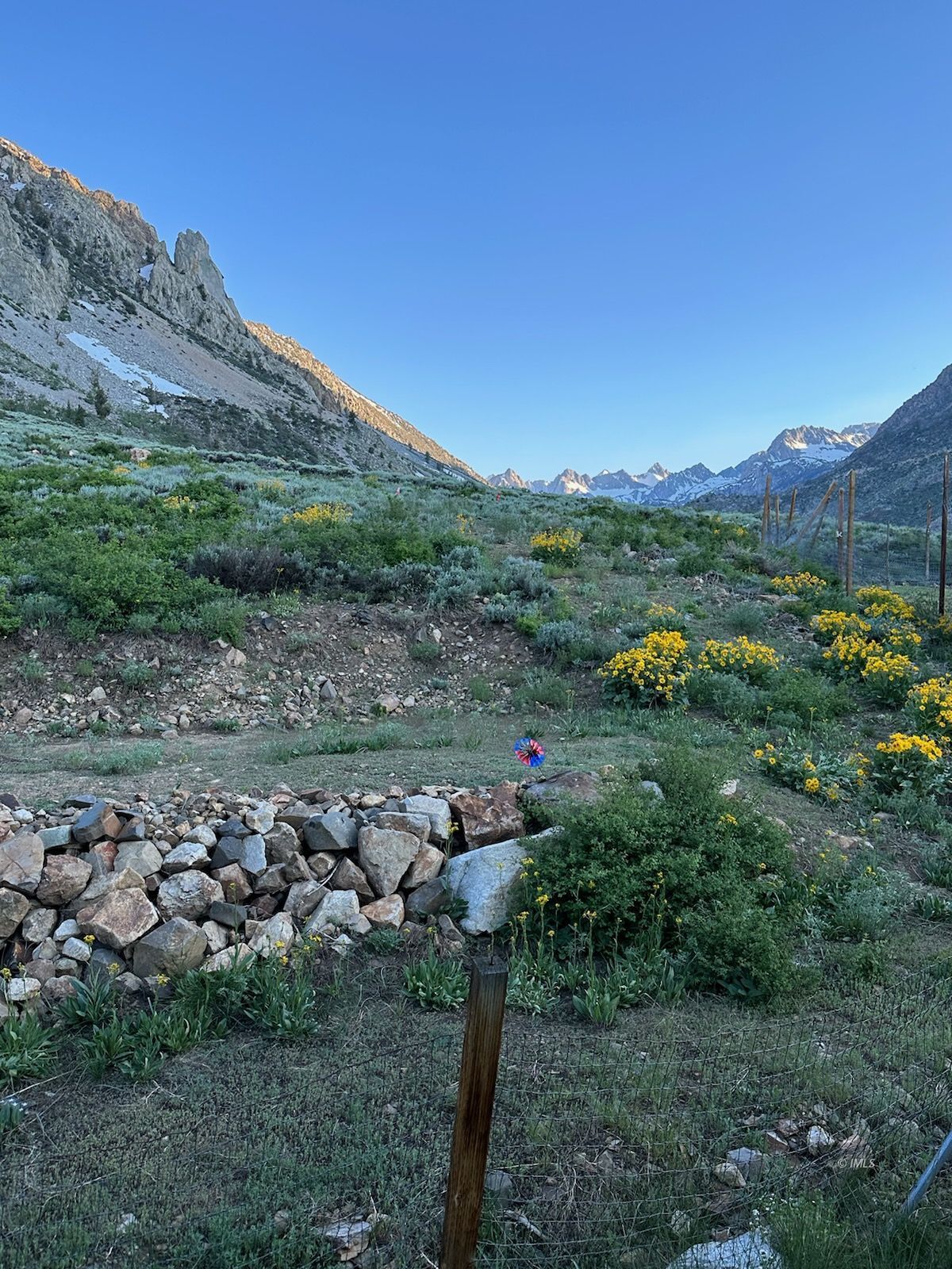 156 Alpine Drive Bishop, CA 93514 - Photo 15 of 17 a view of a lush green field