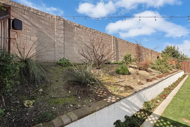 a view of a backyard