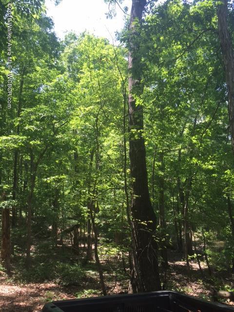 South Dogwood Road Double Springs, AL 35553 - Photo 9 of 15 Gallery Image 9