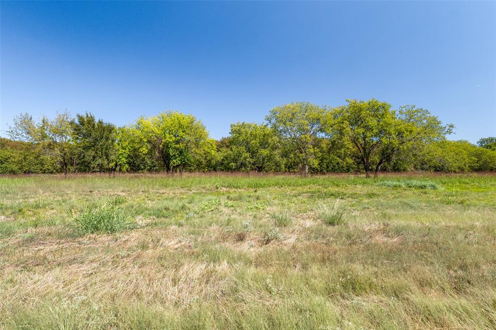 750 Wible Road Sherman, TX 75092 - Photo 25 of 26 a view of a yard with a house