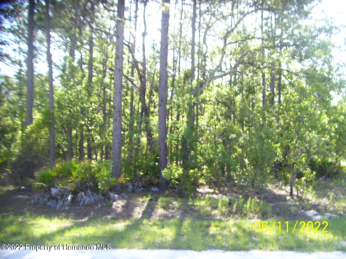 2 Greenback Road Homosassa, FL 34446 - Photo 1 of 6