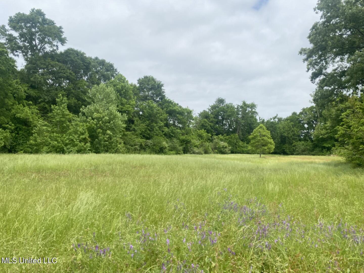 Rayner Road Lexington, MS 39095 - Photo 1 of 50 222 Holmes
