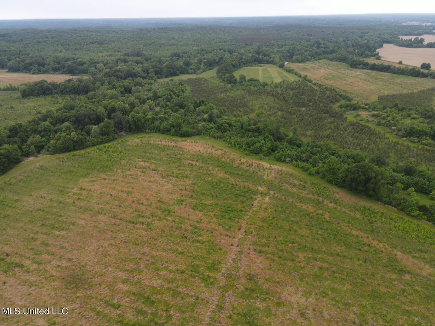 Rayner Road Lexington, MS 39095 - Photo 27 of 50 28