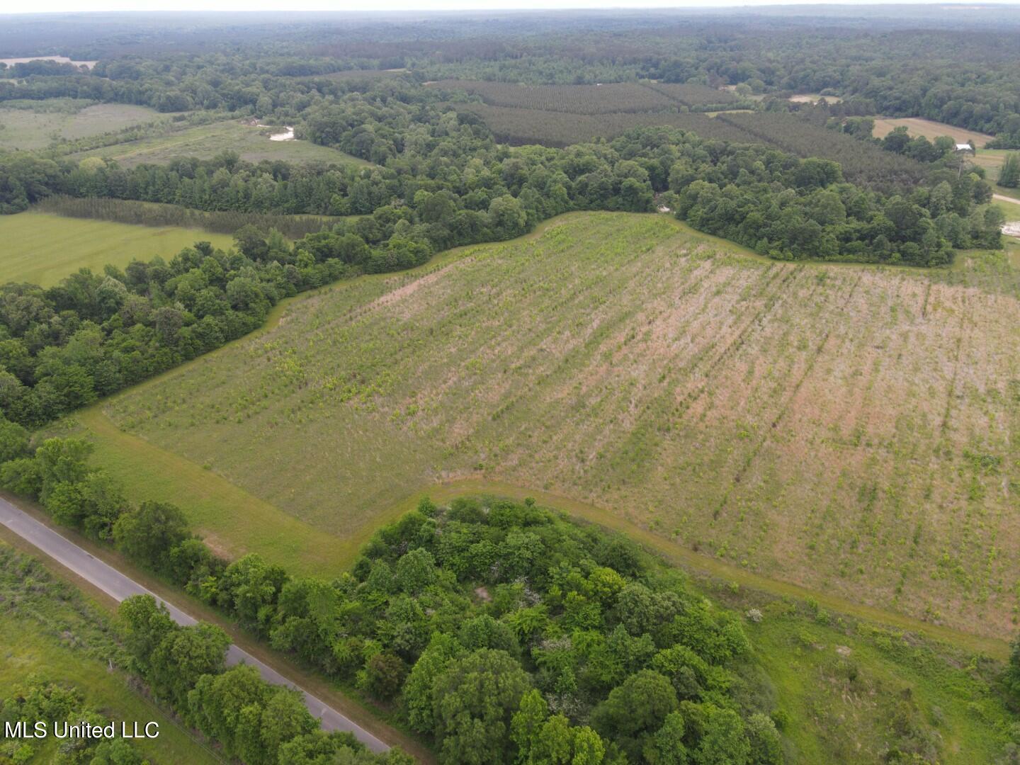 Rayner Road Lexington, MS 39095 - Photo 30 of 50 31