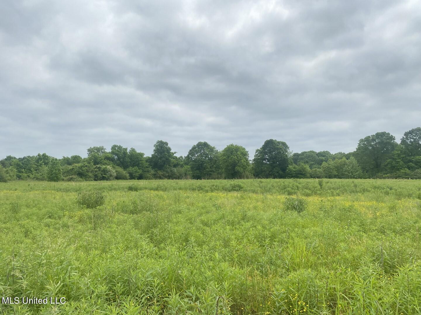 Rayner Road Lexington, MS 39095 - Photo 3 of 50 2