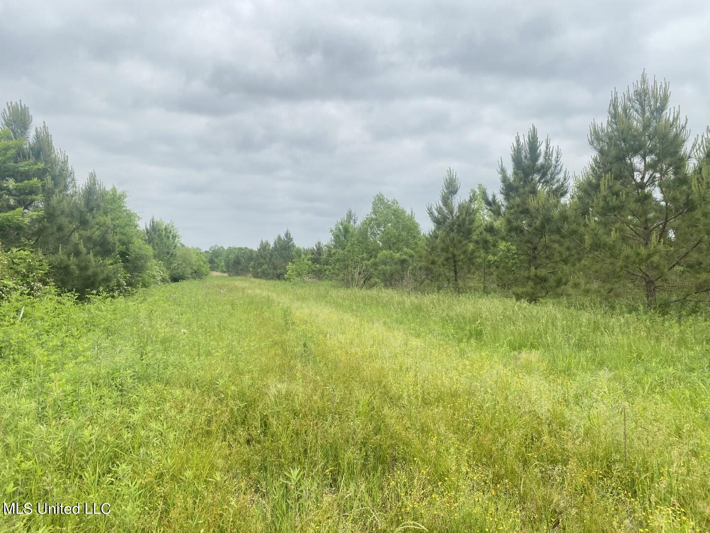 Rayner Road Lexington, MS 39095 - Photo 36 of 50 37