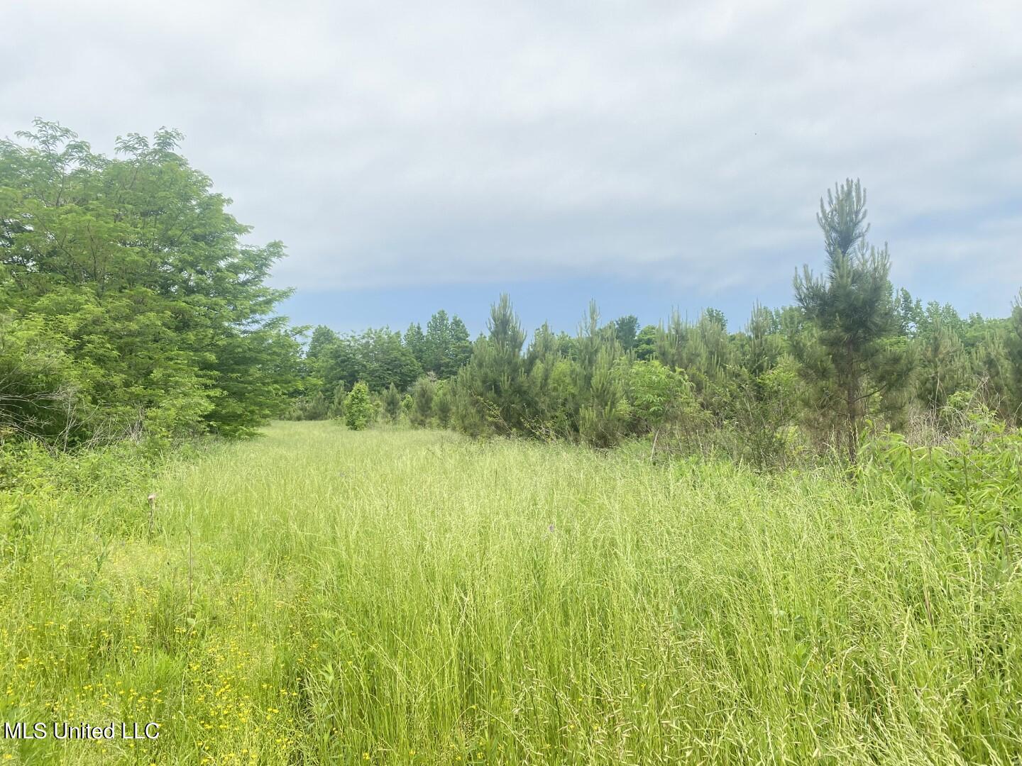 Rayner Road Lexington, MS 39095 - Photo 5 of 50 4