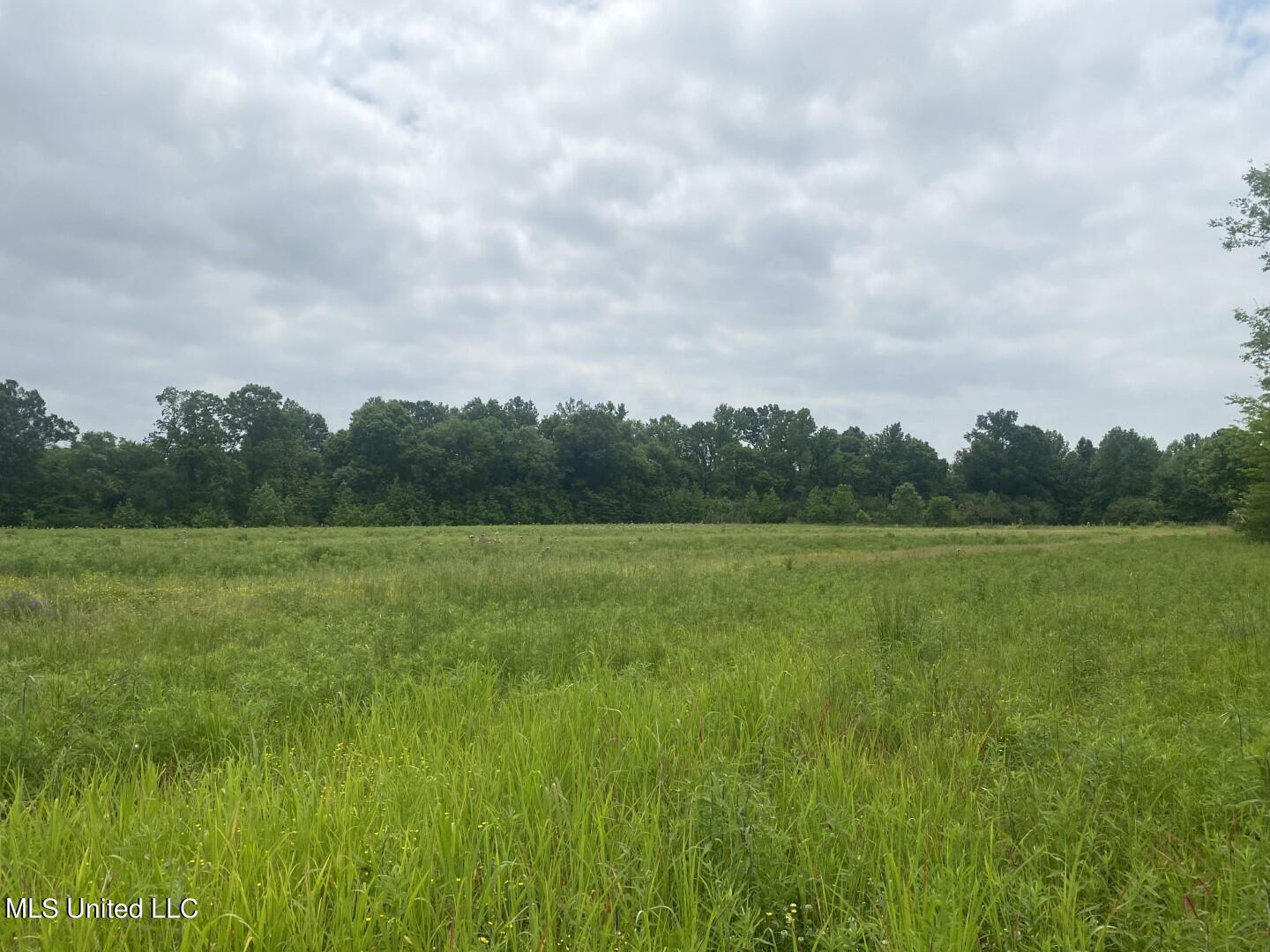 Rayner Road Lexington, MS 39095 - Photo 6 of 50 5
