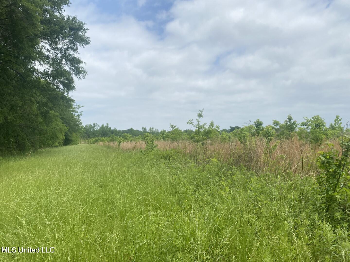 Rayner Road Lexington, MS 39095 - Photo 7 of 50 6