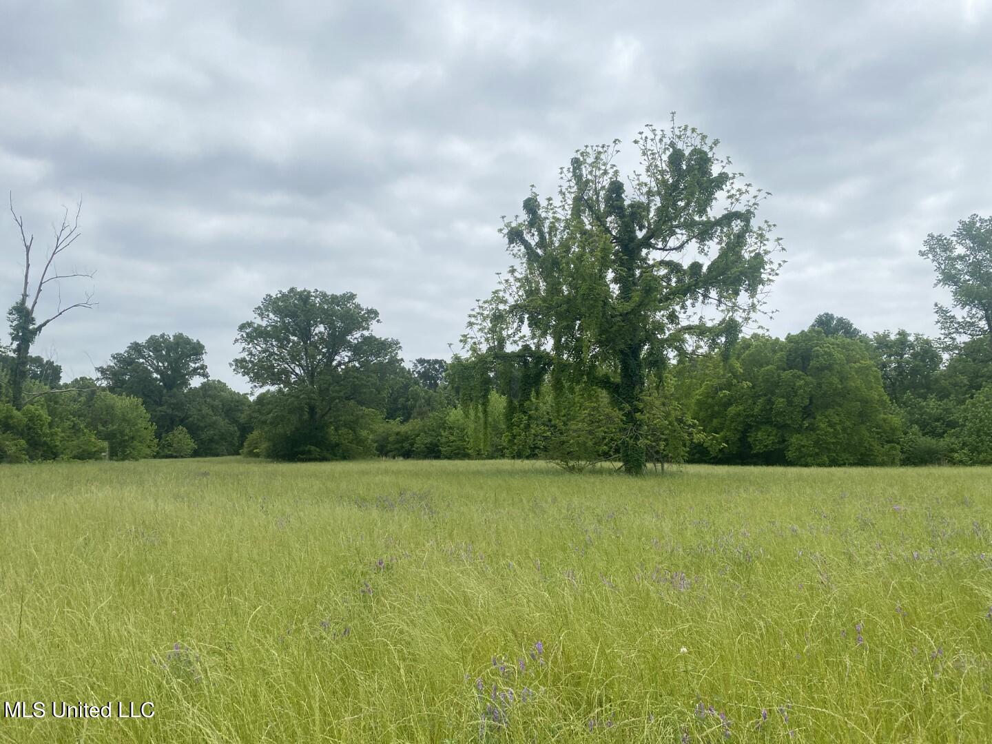 Rayner Road Lexington, MS 39095 - Photo 8 of 50 7