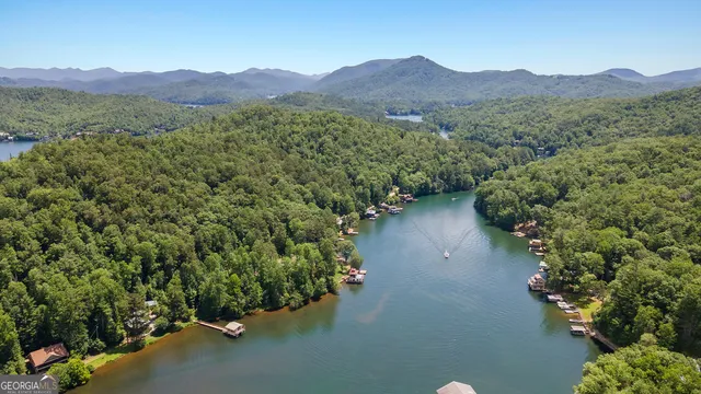 $1,295,000 | 112 Springhill Lane, Clarkesville, GA 30523