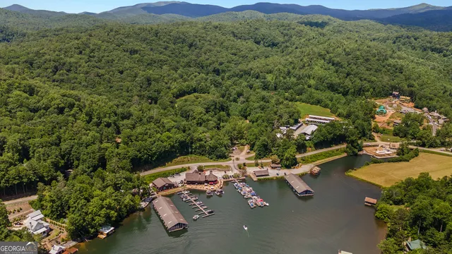 $1,295,000 | 112 Springhill Lane, Clarkesville, GA 30523