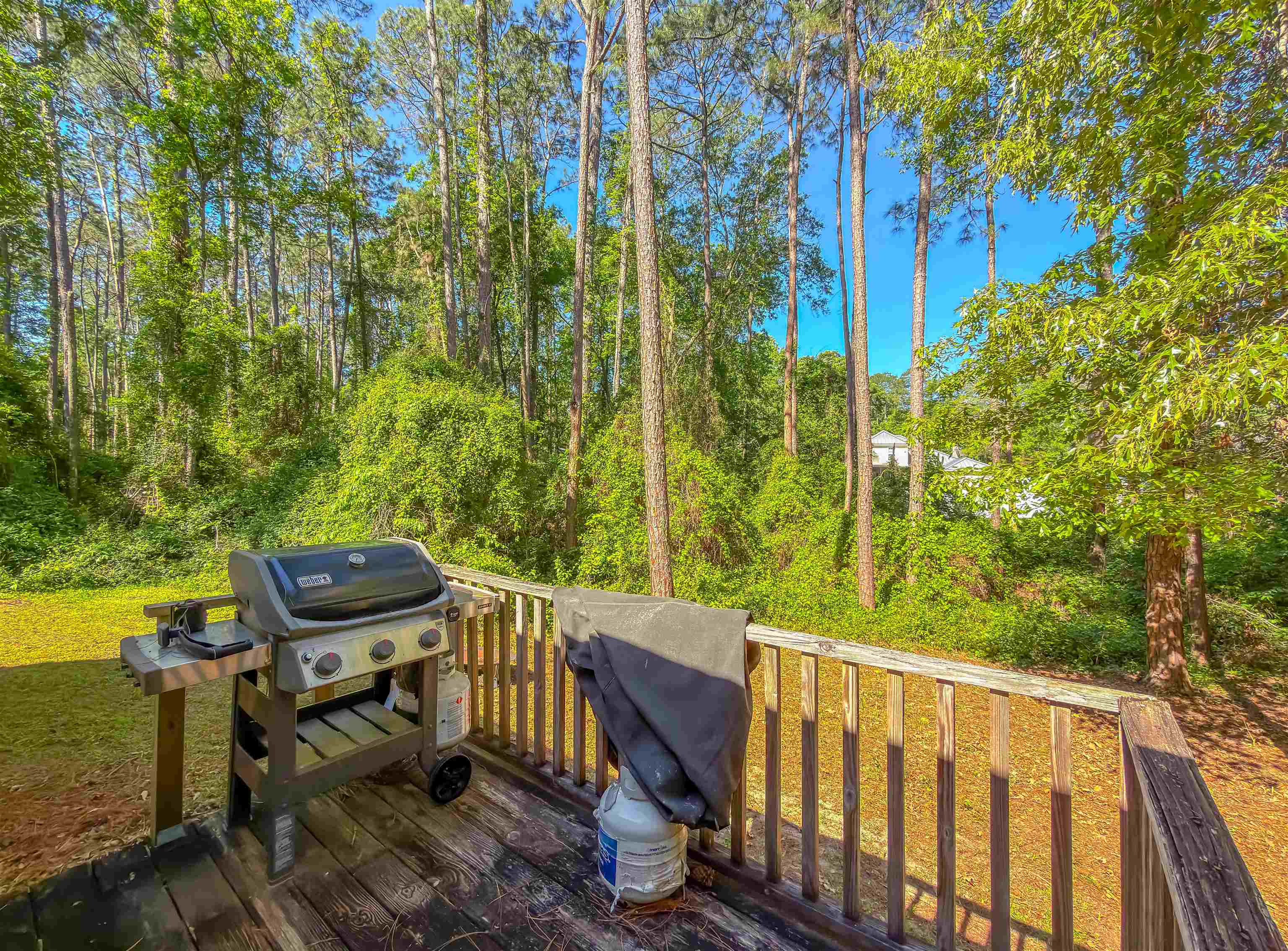 8132 Holly Ridge Trail Tallahassee, FL 32312 - Photo 21 of 29