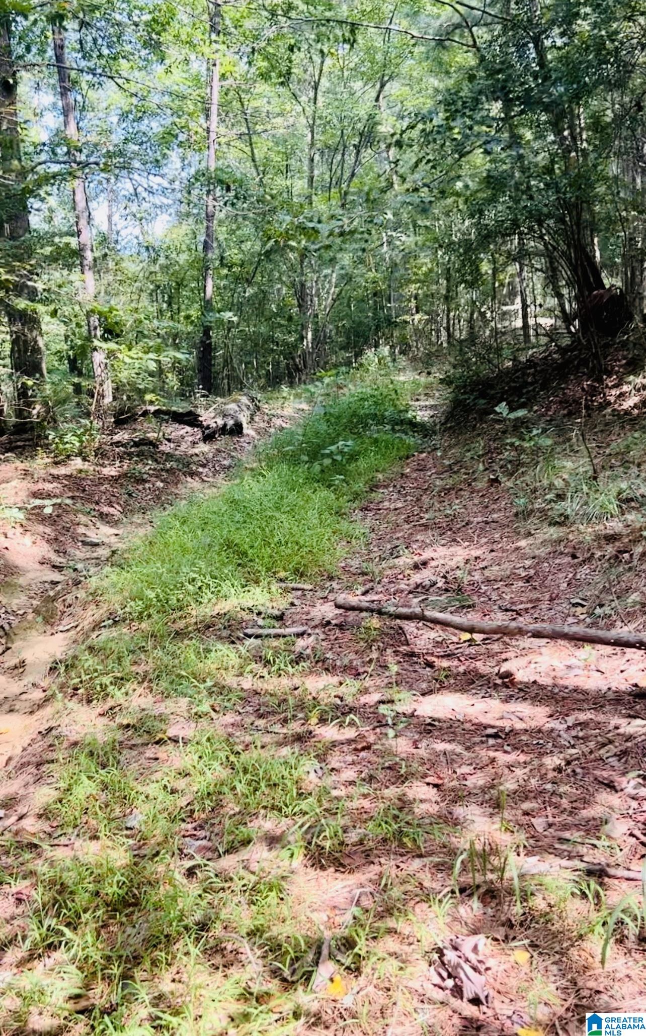 0 Joy Road Hayden, AL 35079 - Photo 15 of 23