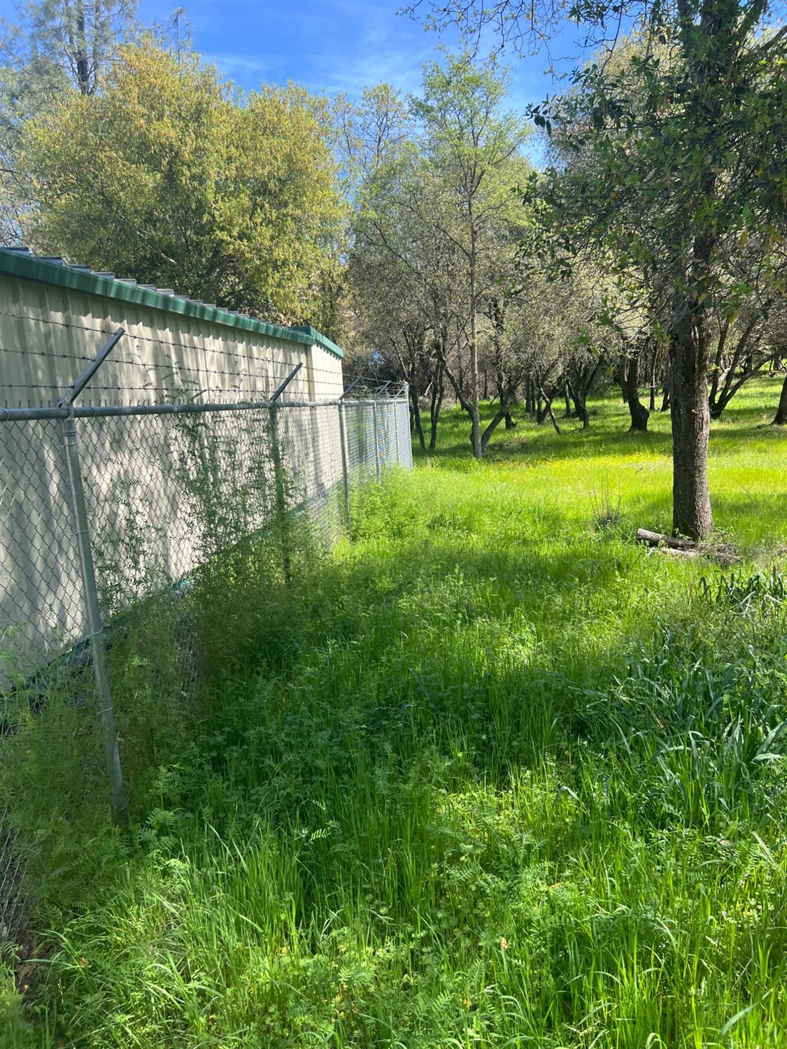 0 China Garden Road Placerville, CA 95667 - Photo 7 of 8 Gallery Image 7