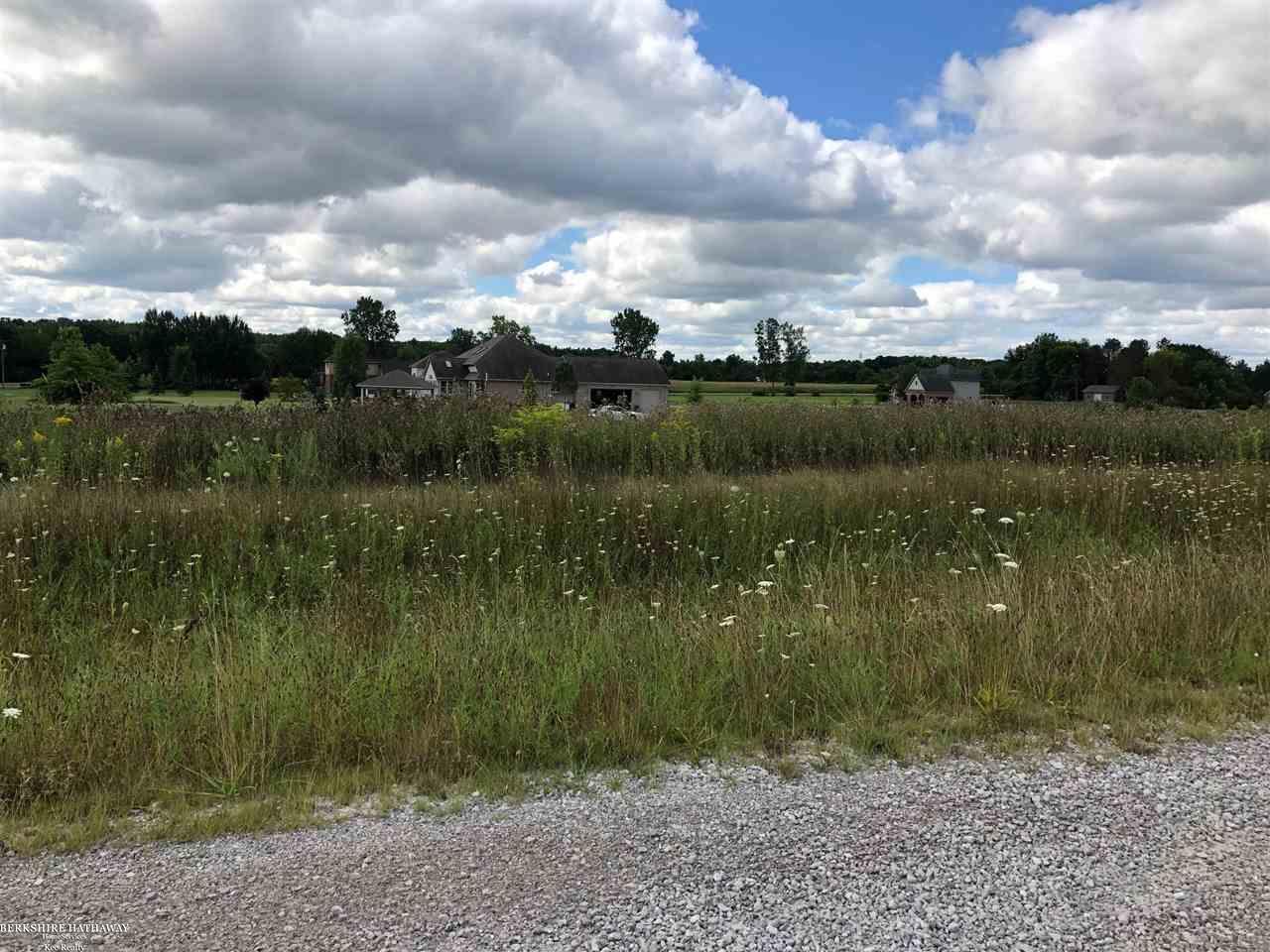 0 Fox Ridge Almont, MI 48003 - Photo 1 of 3