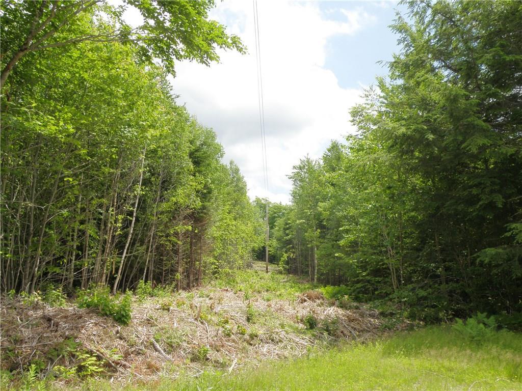 0 East E Ridge Cooper, ME 04657 - Photo 12 of 15 Photo