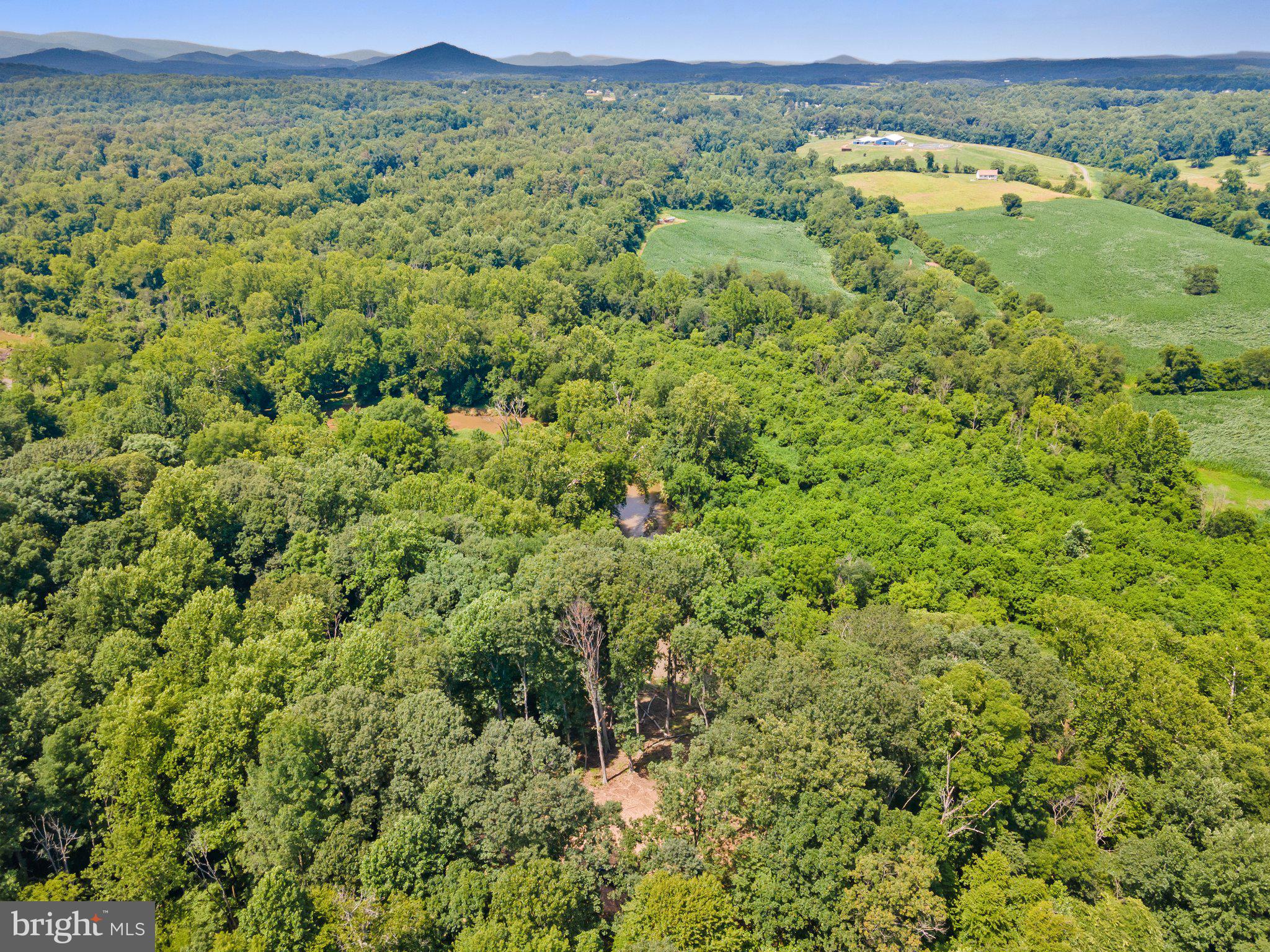 Kieras Way Rixeyville, VA 22737 - Photo 8 of 18 a view of a field with a lush green forest