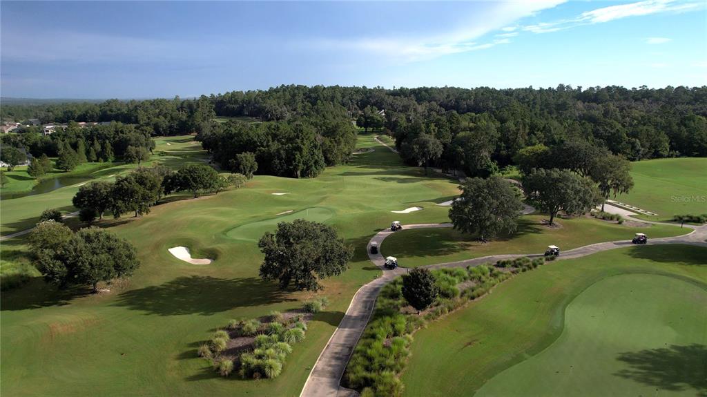 4910 Southern Valley Loop Brooksville, FL 34601 - Photo 50 of 64
