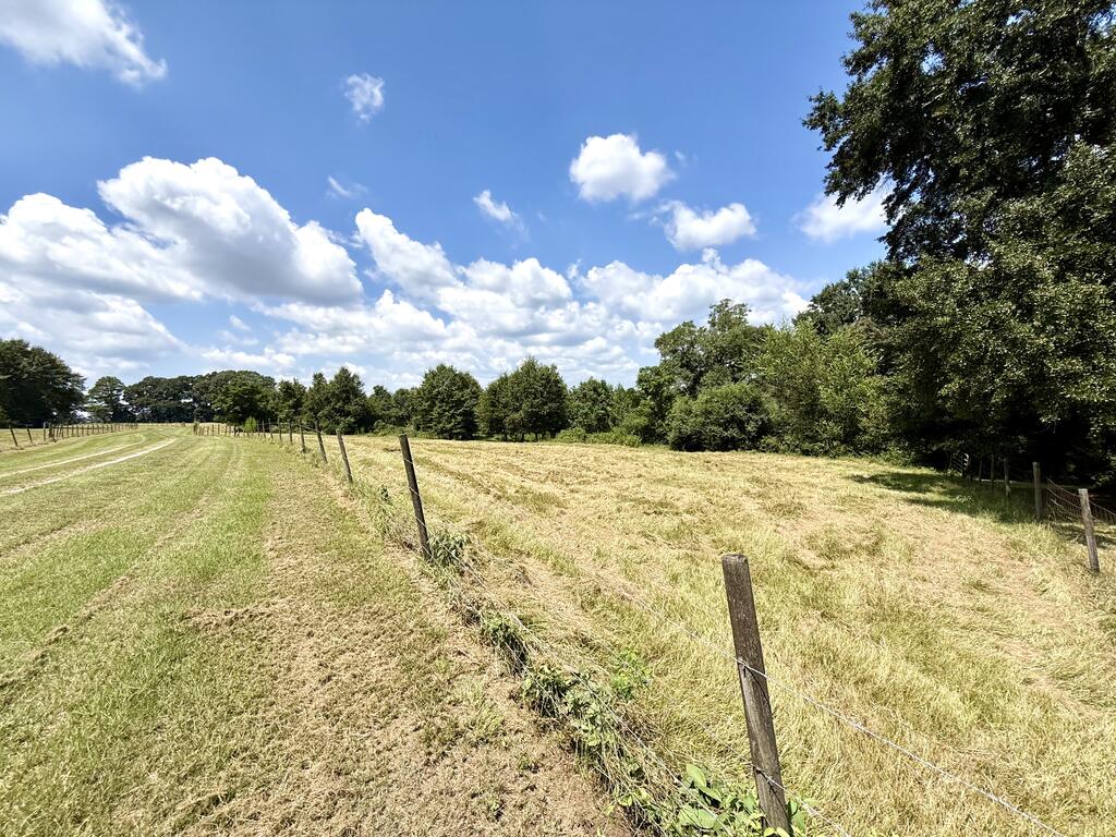 218 Chaney Branch Road Clio, AL 36017 - Photo 63 of 72 Gallery Image 63