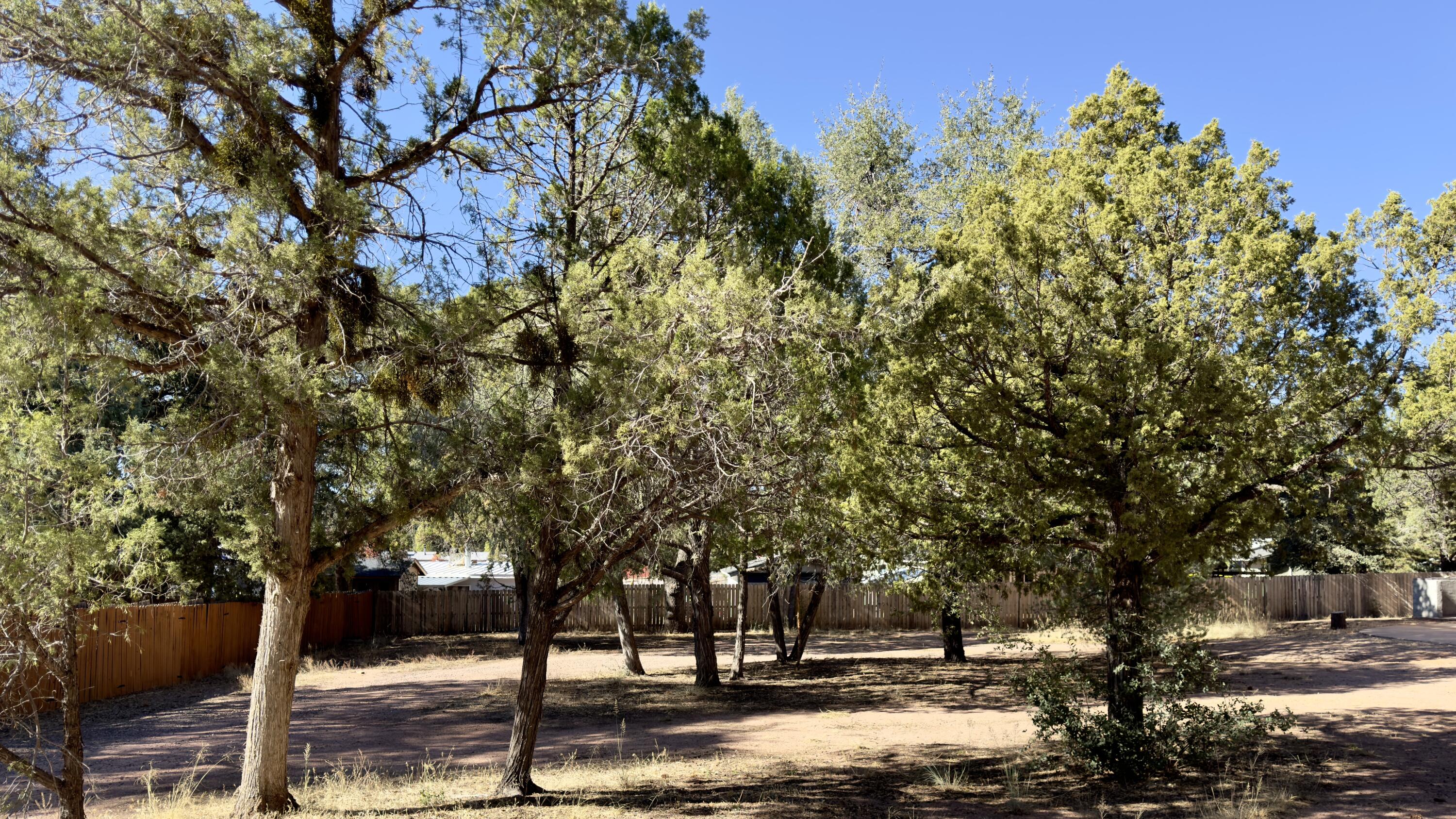 1428 North Easy Street Payson, AZ 85541 - Photo 8 of 12