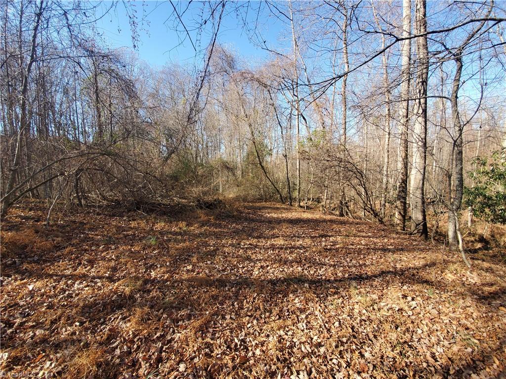 409 Colbert Road Traphill, NC 28685 - Photo 23 of 32 Gallery Image 23