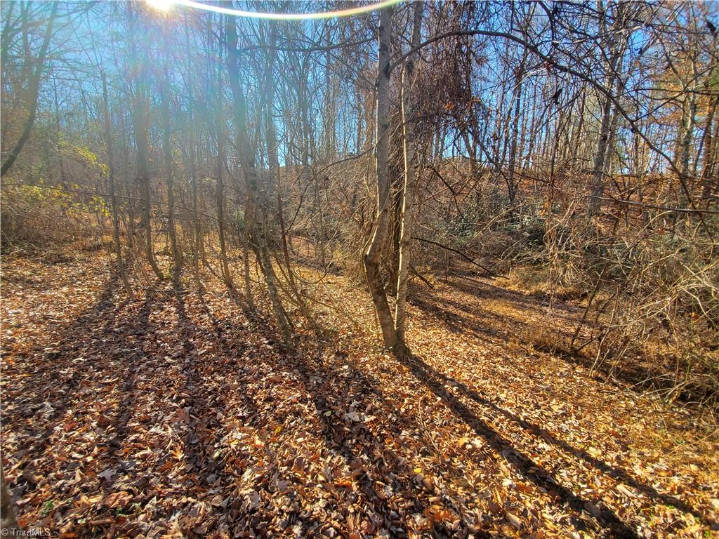 409 Colbert Road Traphill, NC 28685 - Photo 24 of 32 Gallery Image 24