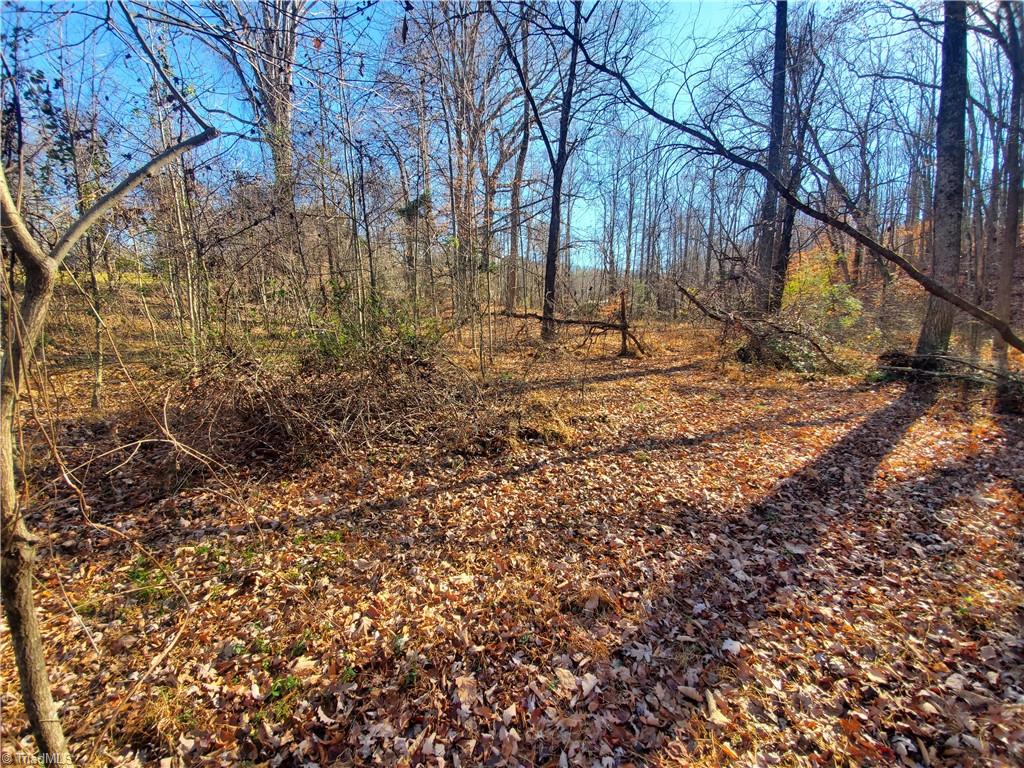 409 Colbert Road Traphill, NC 28685 - Photo 27 of 32 Gallery Image 27