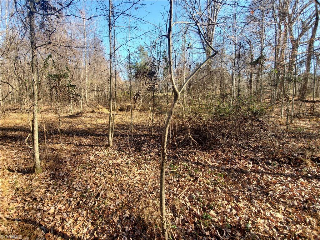 409 Colbert Road Traphill, NC 28685 - Photo 28 of 32 Gallery Image 28