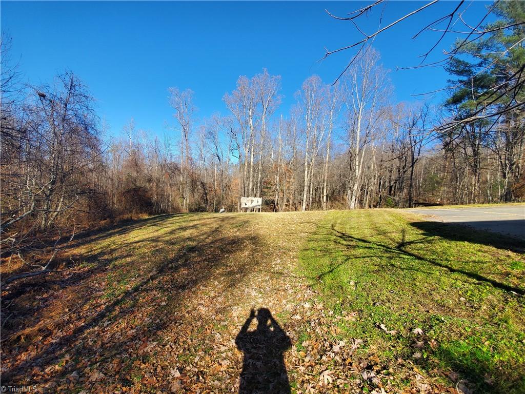 409 Colbert Road Traphill, NC 28685 - Photo 30 of 32 Gallery Image 30