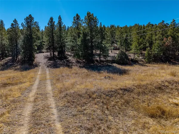 $170,000 | 0 Dude Canyon Road, Weston, CO 81091