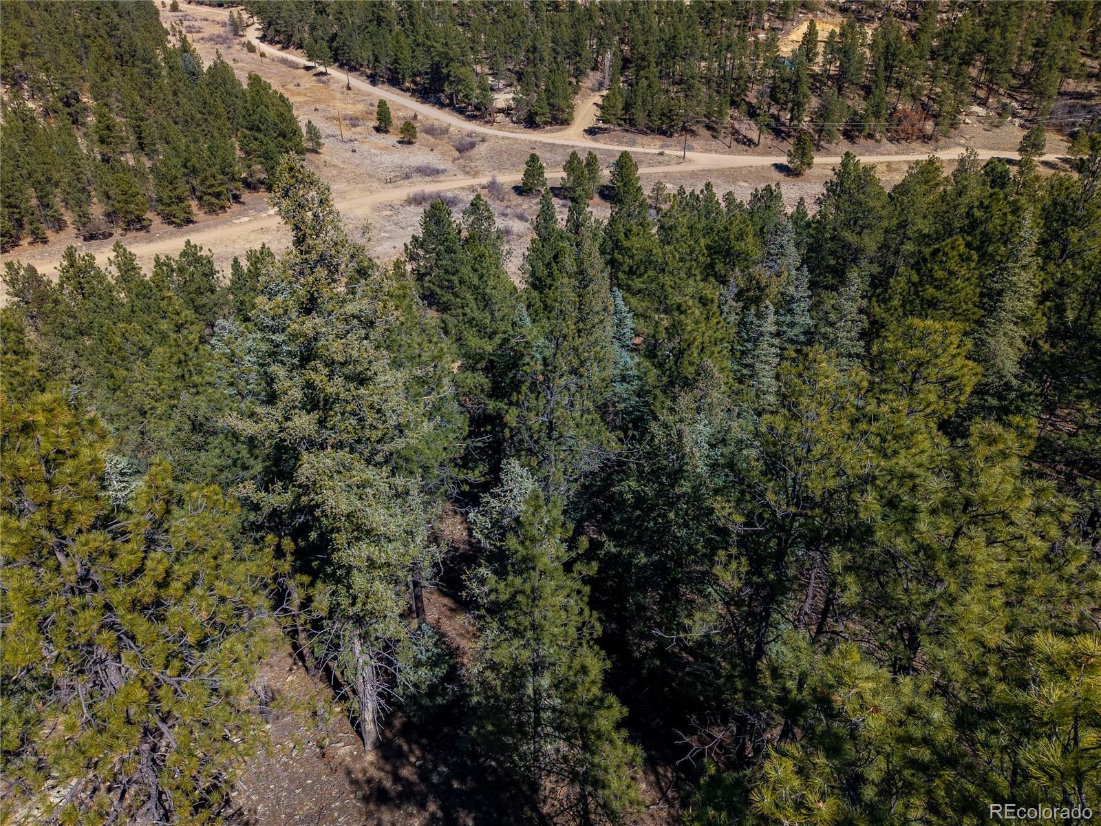 0 Dude Canyon Road Weston, CO 81091 - Photo 27 of 32